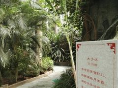-龙达温泉生态城