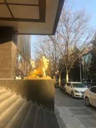 -中国黄金(北京旗舰店)