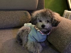 -默迹咖啡馆
