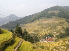 -紫鹊界梯田景区