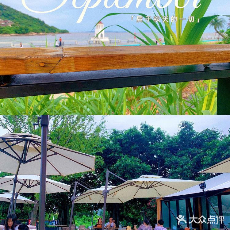 珠海探店·Chill House 萃岚