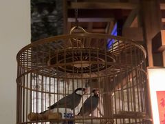 -31号公馆(黄兴广场白果园店)