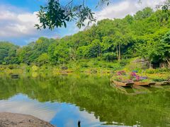 -深圳仙湖植物园