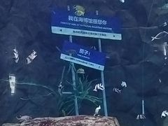 -抱抱地球咖啡馆(国家海洋博物馆店)