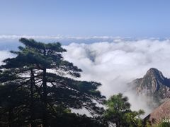 -黄山风景区