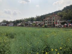 -红山村