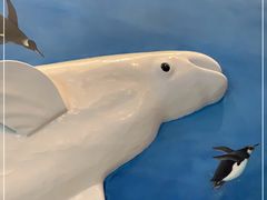 -芜湖新华联大白鲸海洋公园