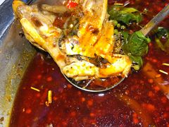 -蜀滋香鲜鱼美蛙火锅(339店)