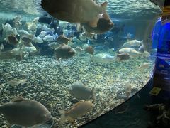 -成都浩海立方海洋公园