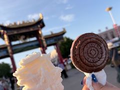 -特克斯八卦城