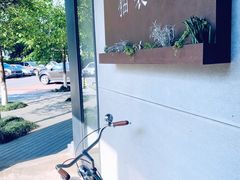 -猫里有甜