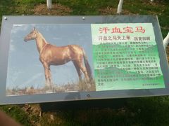 -武清南湖绿博园