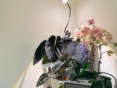 -本無咖啡·BeanWood Coffee