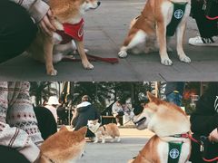 -星巴克(珠海仁恒滨海中心店)