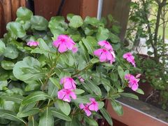 -小茶闲舍·观景商务茶馆(广州塔店)