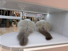 -银泰百货(北京大红门店)