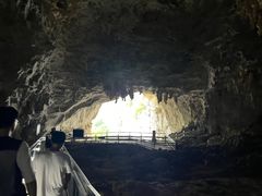-百色大石围天坑群