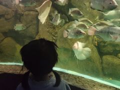 -苏州海洋馆