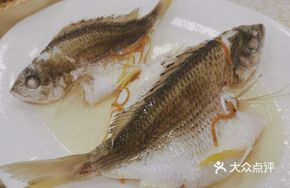 Steamed Rockfish with Oil and Salt