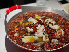 捌零水煮鱼-京城·森鸽排档(双井店)