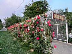 -太阳宫公园