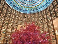 -青雅中餐厅(大连金石滩绿发希尔顿度假酒店)