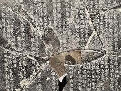 -辽宁省博物馆