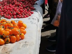 -三旗百汇商品城