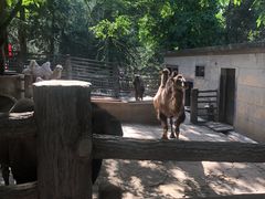 -昆明动物园