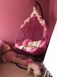 -Pink You美甲美睫纹绣定制中心