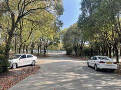 -胜华驾校·小猫学车(银都店)