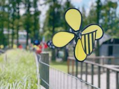 -前小桔亲子创意农场·草莓采摘·露营烧烤