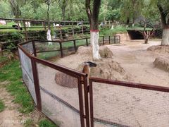 -青藏高原野生动物园