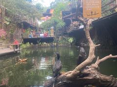 -海南槟榔谷黎苗文化旅游区
