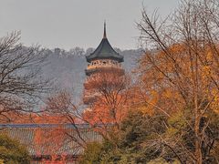 -灵谷景区