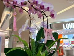 -福田卓悦INTOWN购物中心