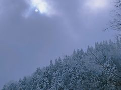 -安康凤凰山森林公园