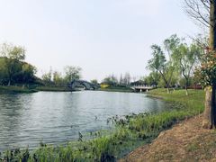 -尚贤河湿地