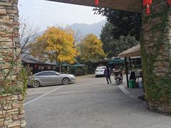 -临江宴餐厅·桐庐菜(富春江店)