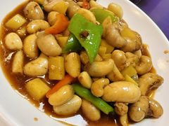 -福建美食城(老君堂店)