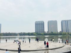 -南翔镇银翔湖公园