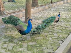 -南京金牛湖风景区