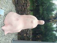 iphone_upload_pic-太阳岛度假酒店