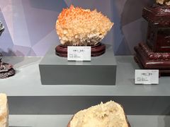 -湖南省地质博物馆