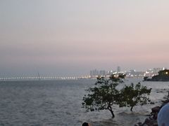 -宝安西湾红树林湿地公园