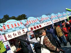 -香雪海