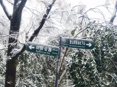 -紫金山山顶公园