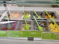 -Salud撒露欧洲冻酸奶(798艺术区店)