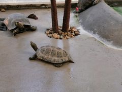 -厦门园林博览苑