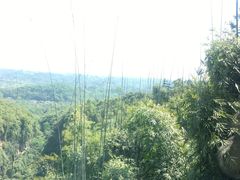 -川西竹海景区